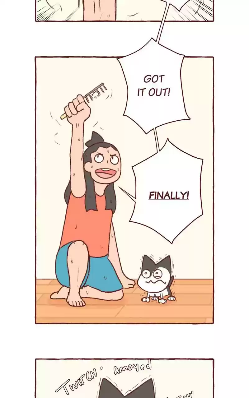 Saphie: The One-Eyed Cat Chapter 316: