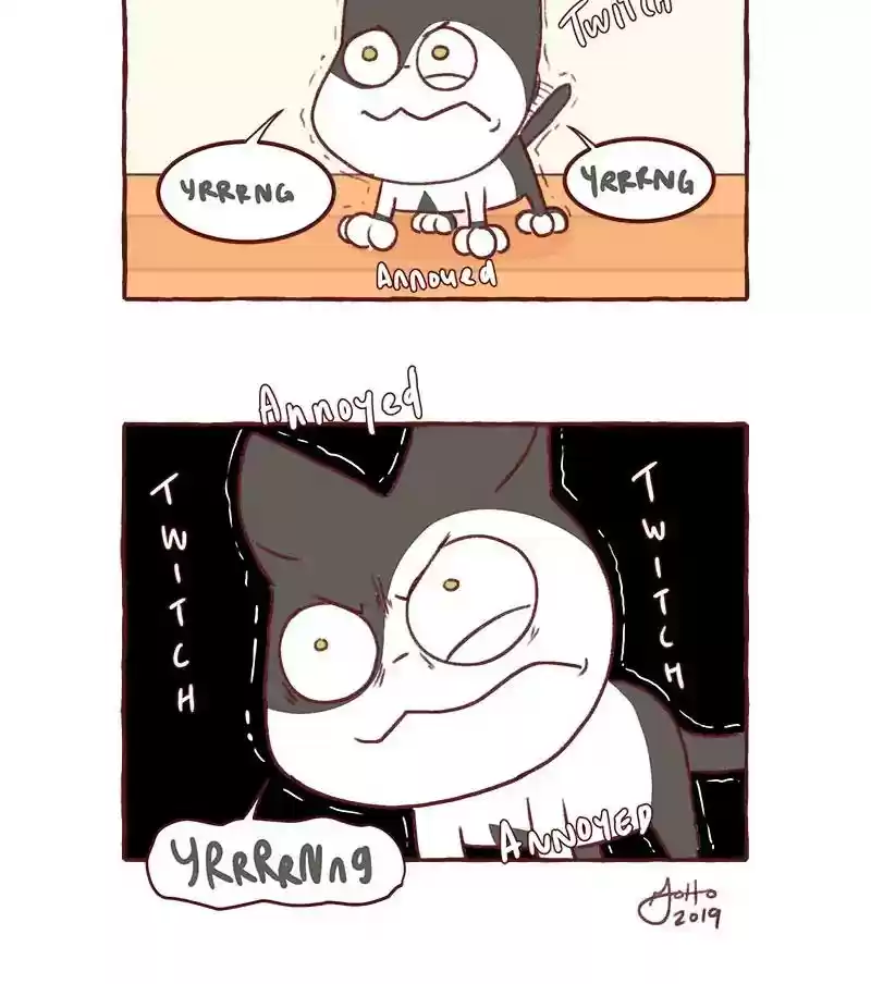 Saphie: The One-Eyed Cat Chapter 316: