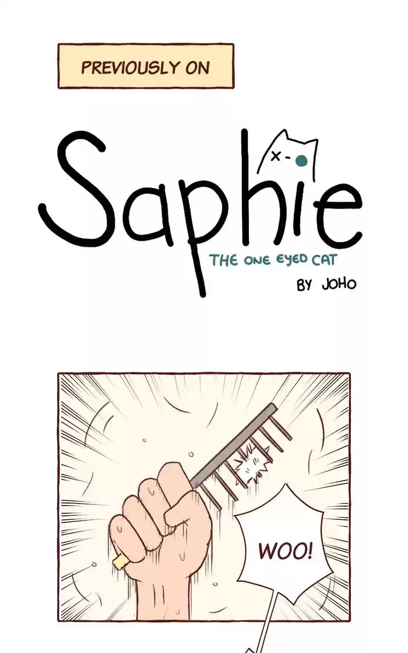 Saphie: The One-Eyed Cat Chapter 317: