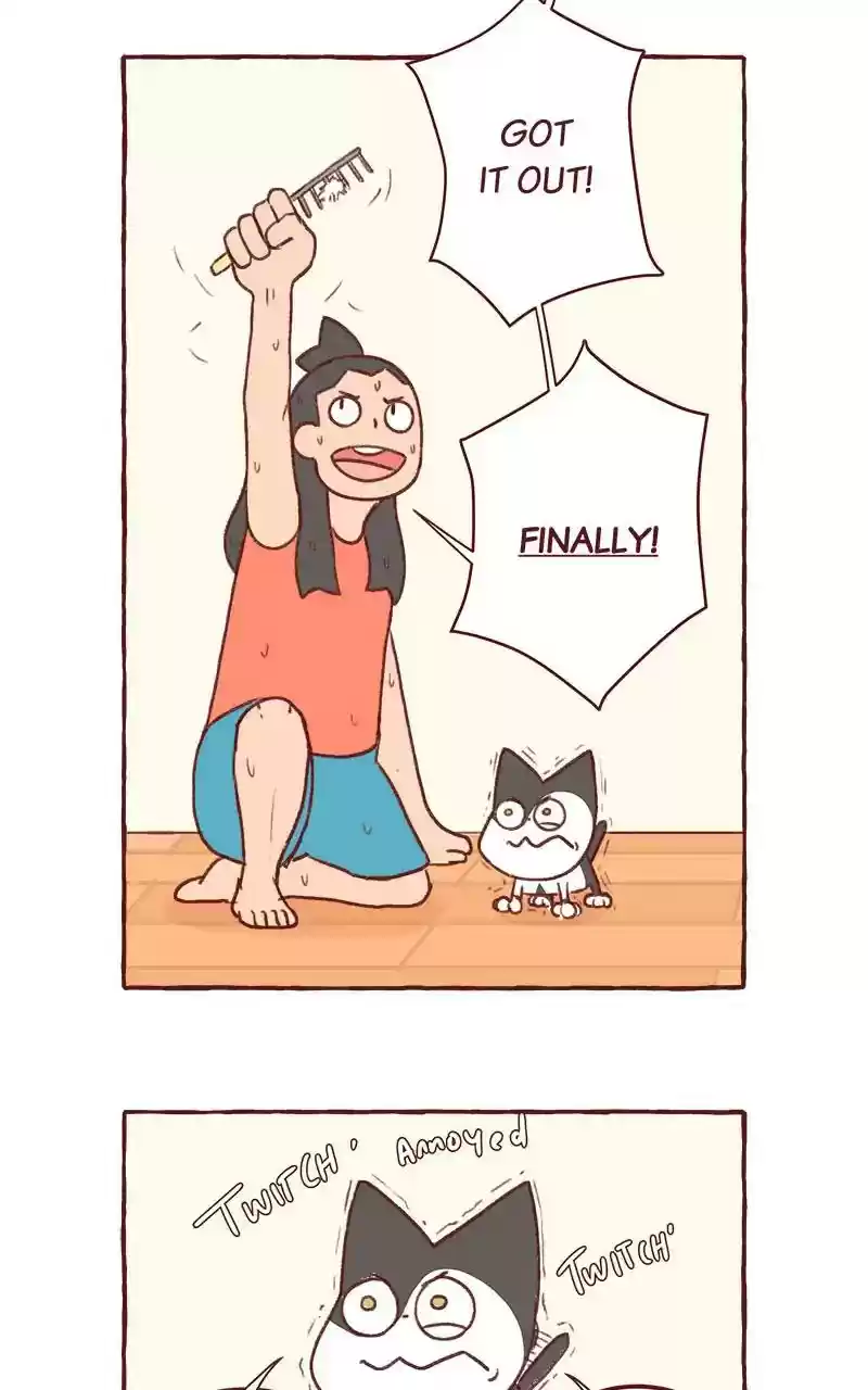 Saphie: The One-Eyed Cat Chapter 317: