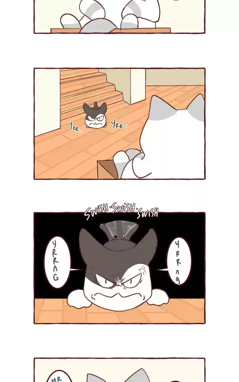 Saphie: The One-Eyed Cat Chapter 317: