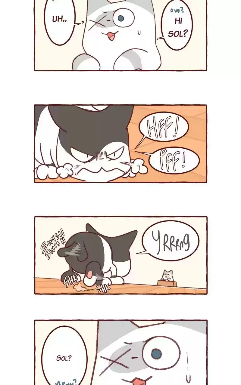 Saphie: The One-Eyed Cat Chapter 317: