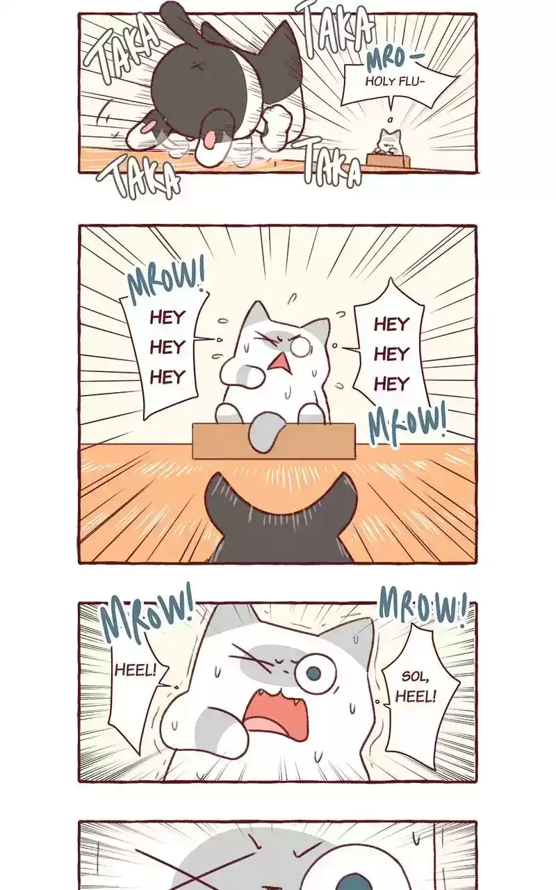 Saphie: The One-Eyed Cat Chapter 317: