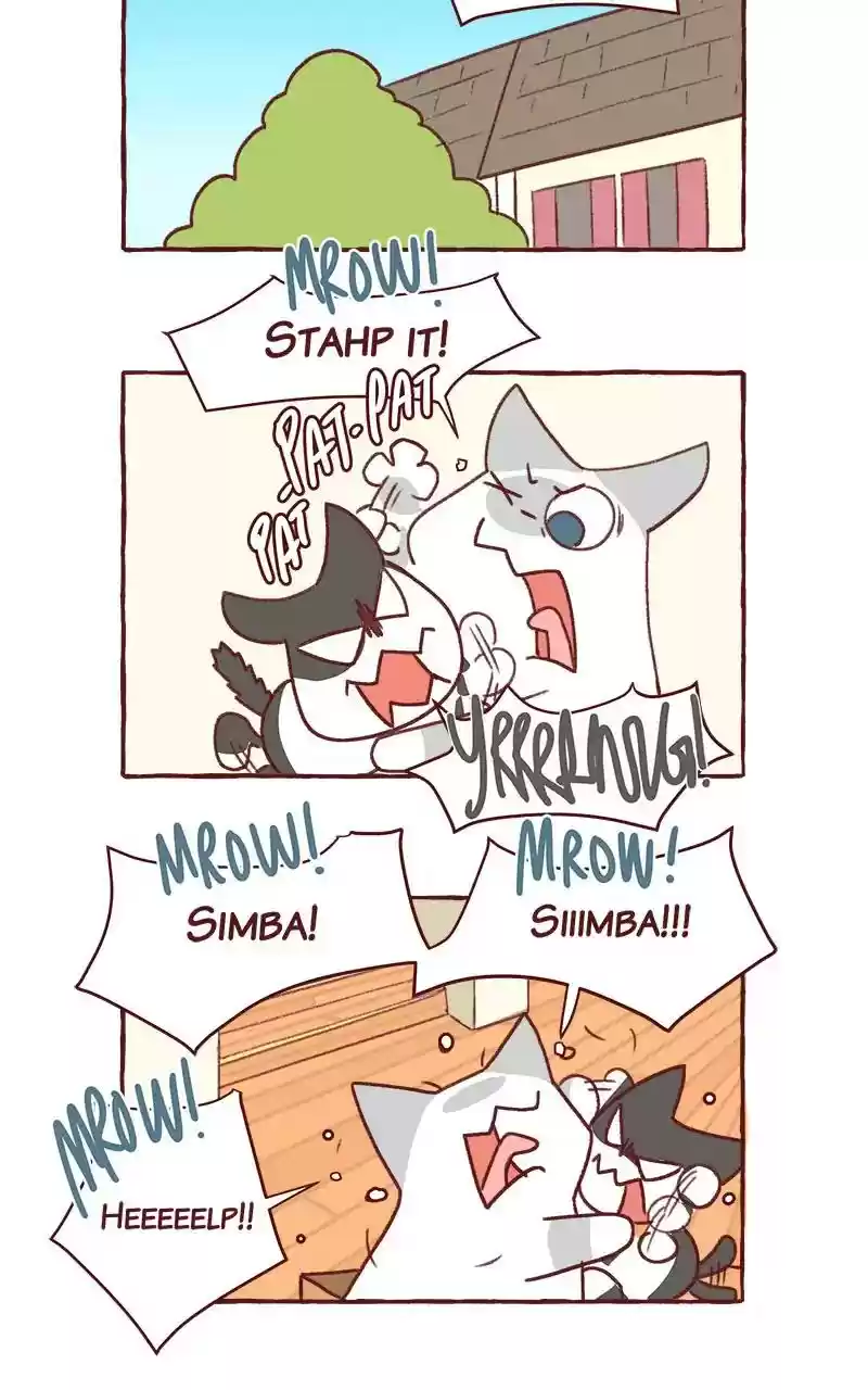 Saphie: The One-Eyed Cat Chapter 318: