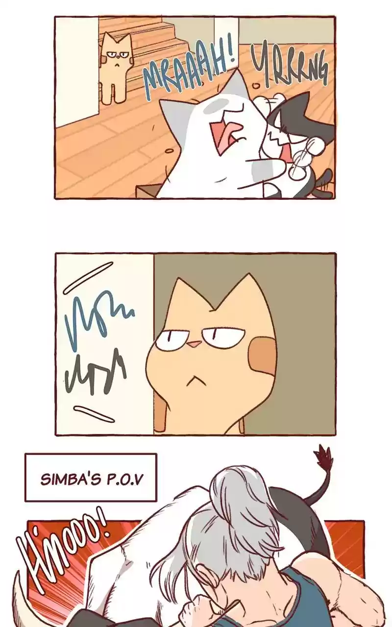 Saphie: The One-Eyed Cat Chapter 318: