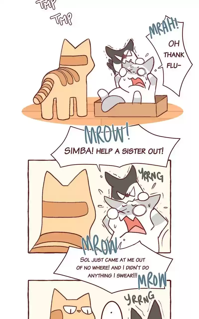 Saphie: The One-Eyed Cat Chapter 319: