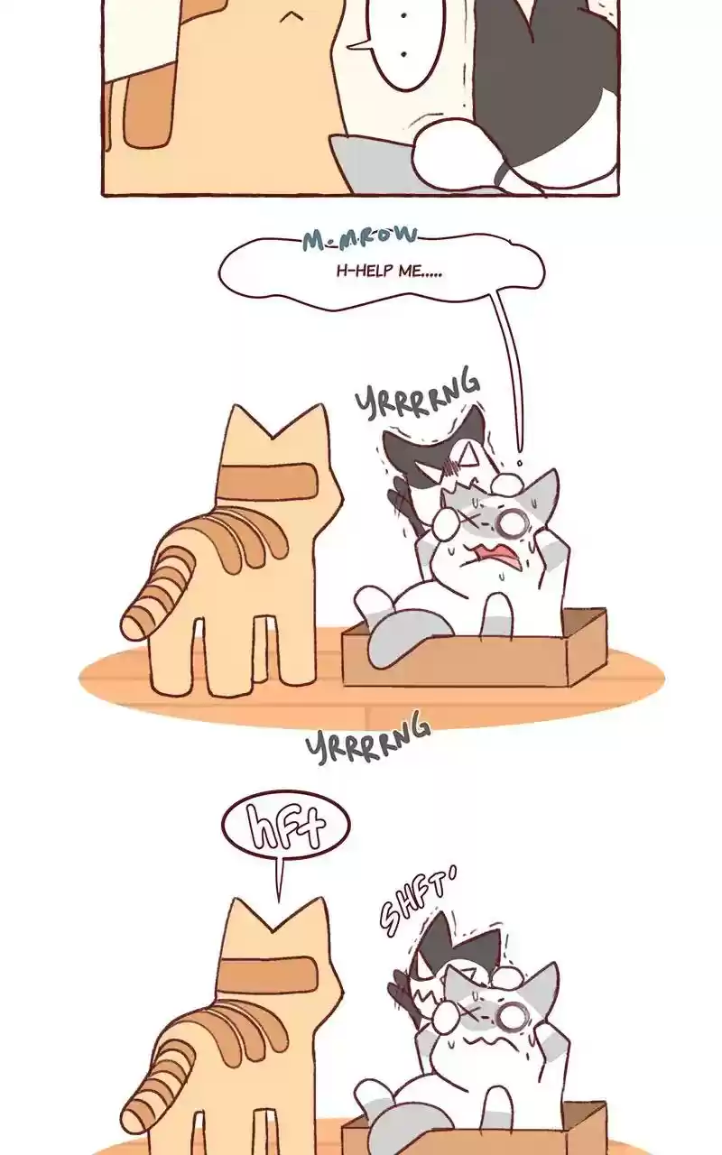 Saphie: The One-Eyed Cat Chapter 319: