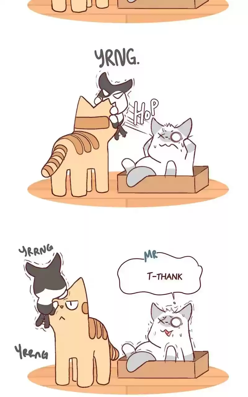 Saphie: The One-Eyed Cat Chapter 319: