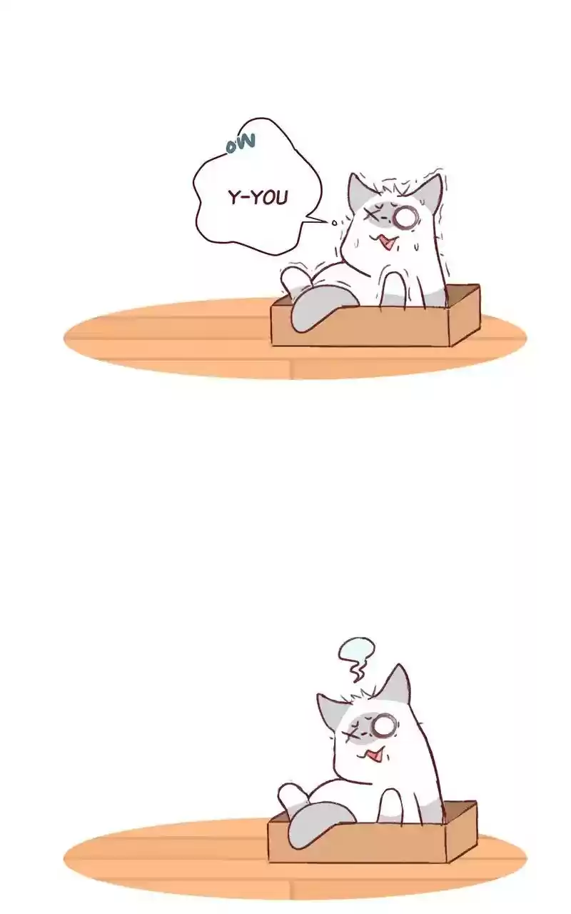 Saphie: The One-Eyed Cat Chapter 319: