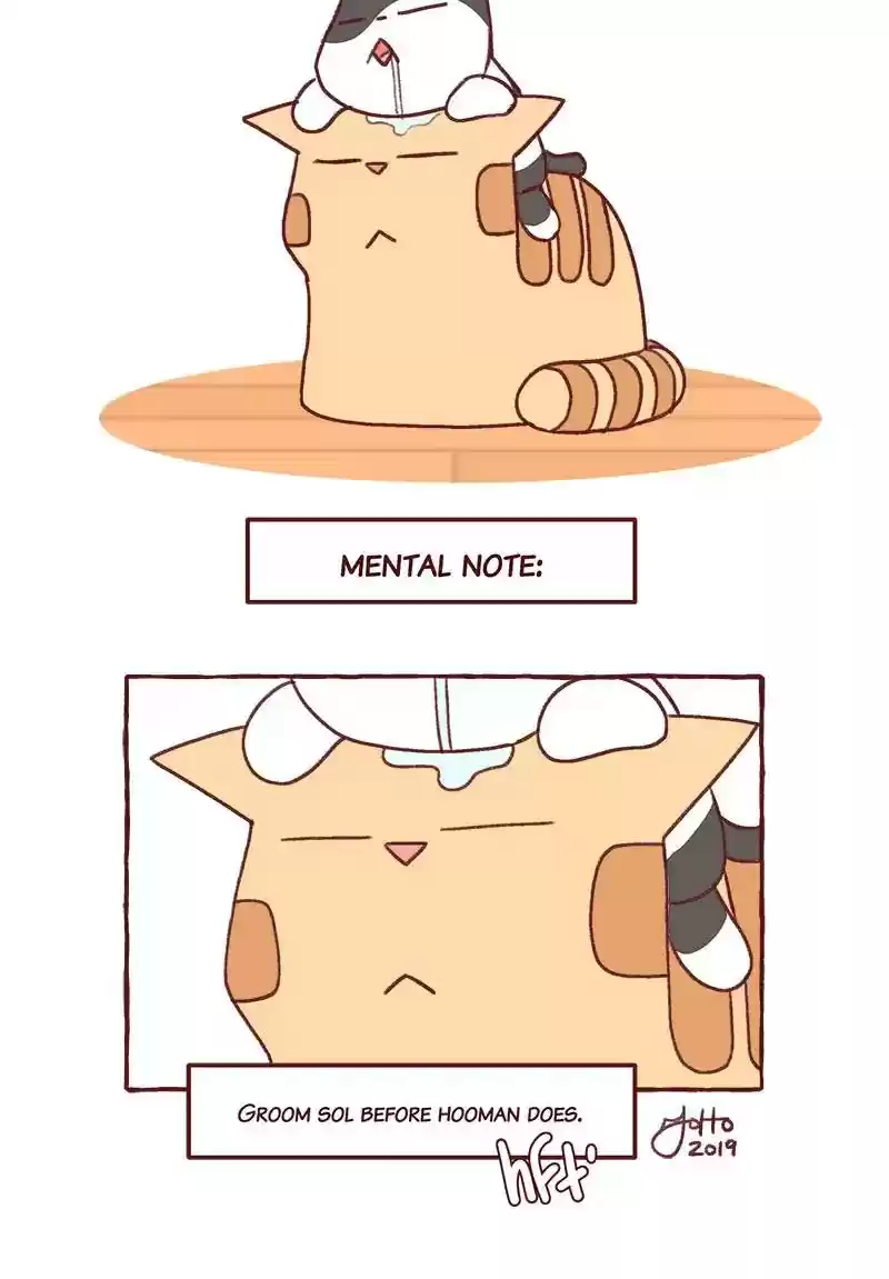 Saphie: The One-Eyed Cat Chapter 319: