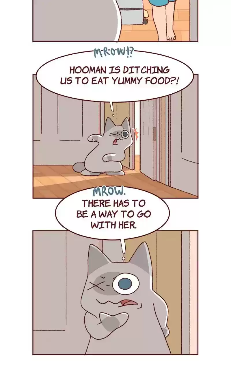 Saphie: The One-Eyed Cat Chapter 320: