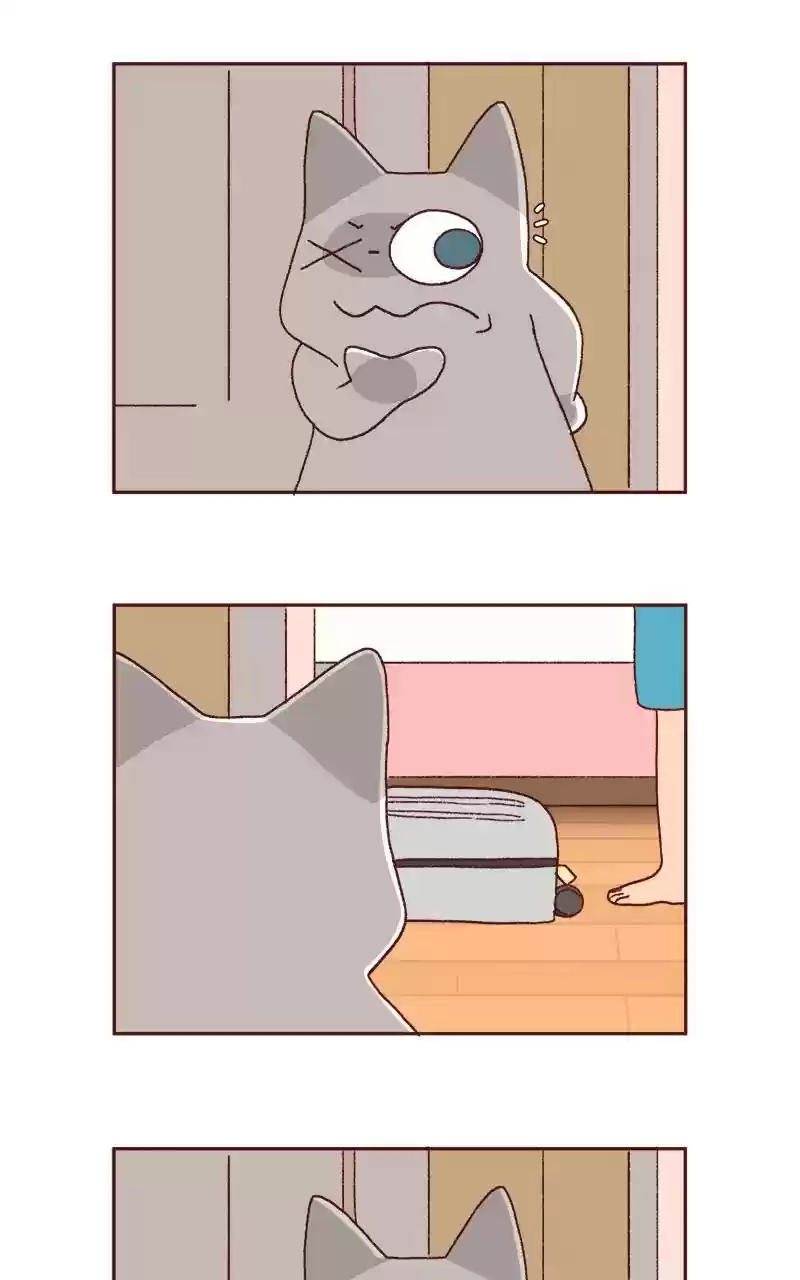 Saphie: The One-Eyed Cat Chapter 320: