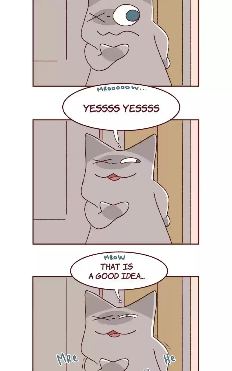 Saphie: The One-Eyed Cat Chapter 320: