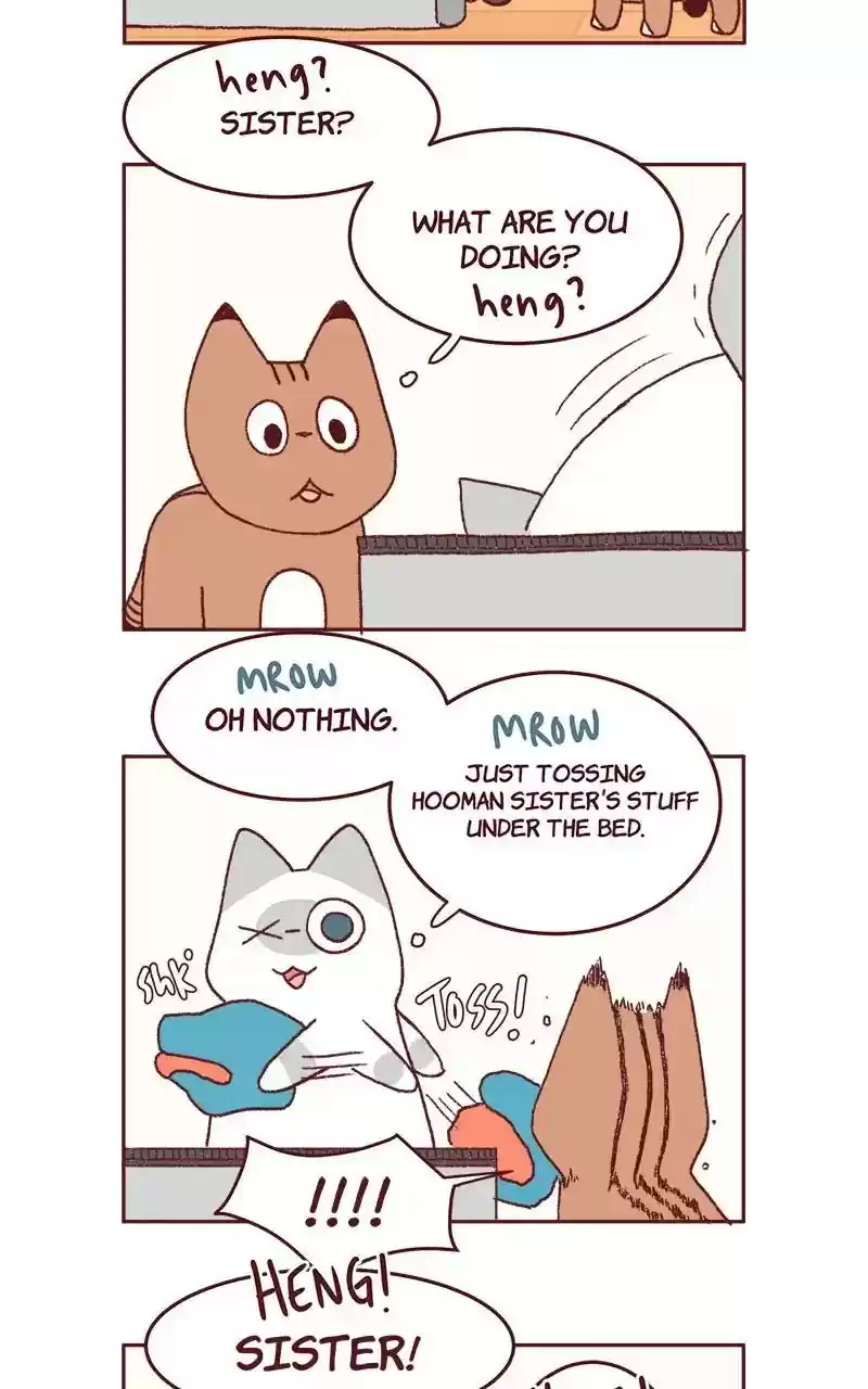 Saphie: The One-Eyed Cat Chapter 321:
