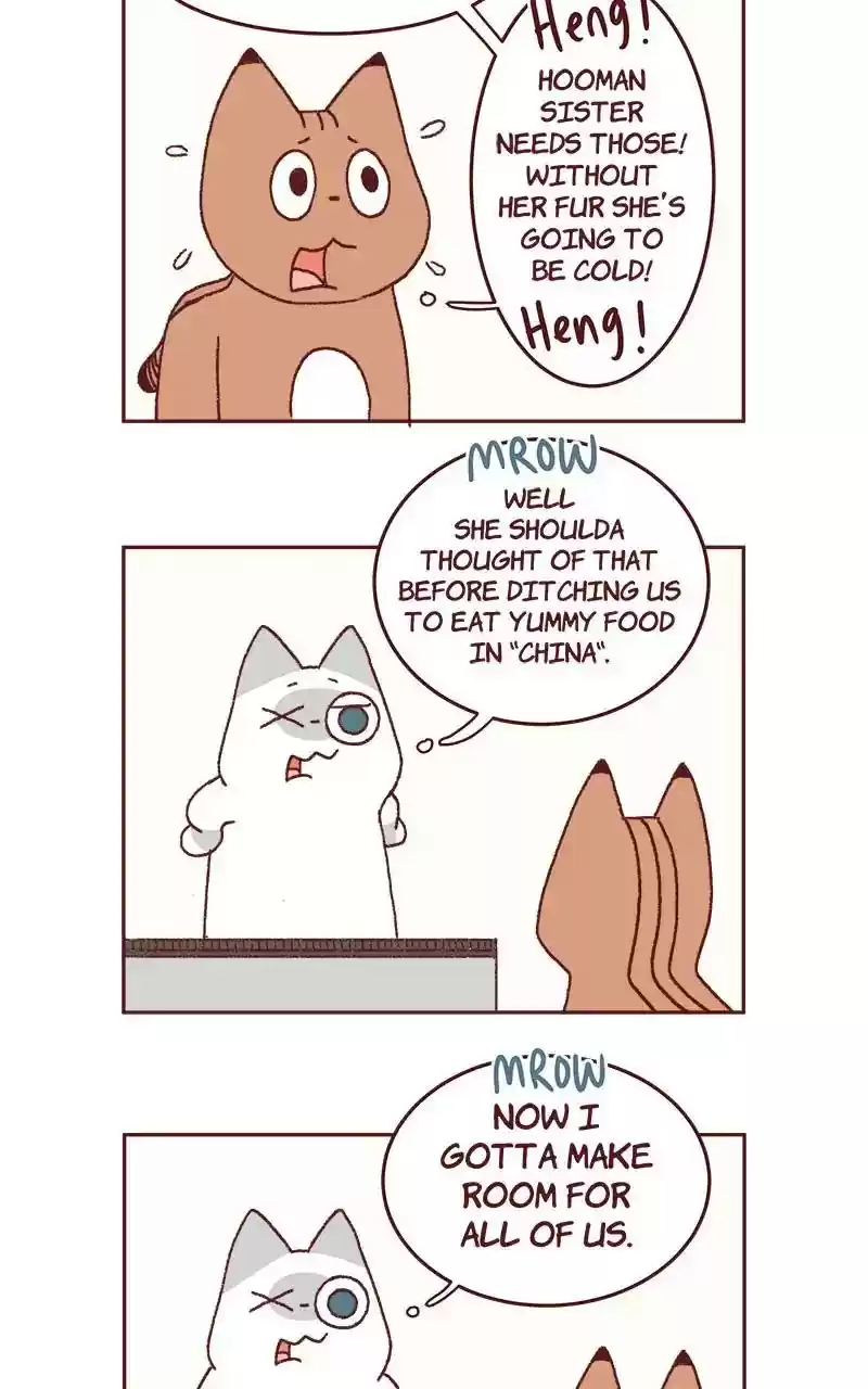 Saphie: The One-Eyed Cat Chapter 321: