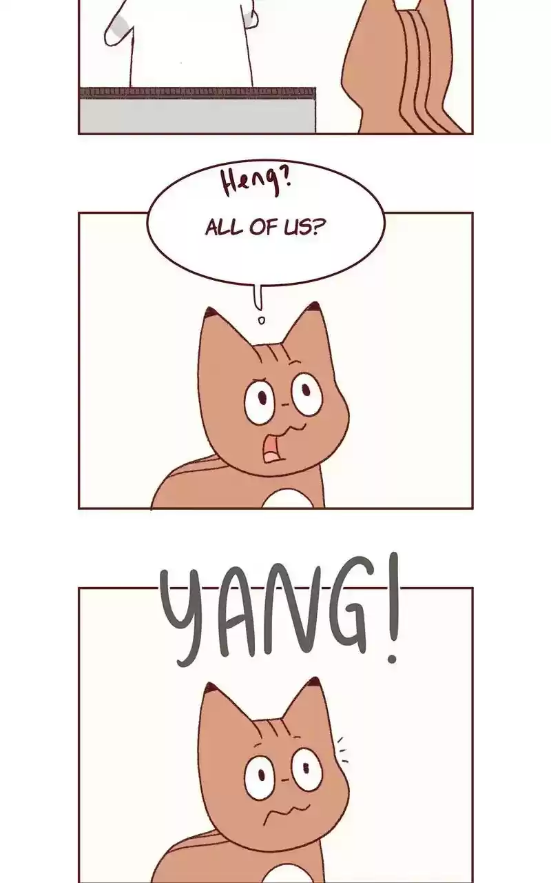 Saphie: The One-Eyed Cat Chapter 321: