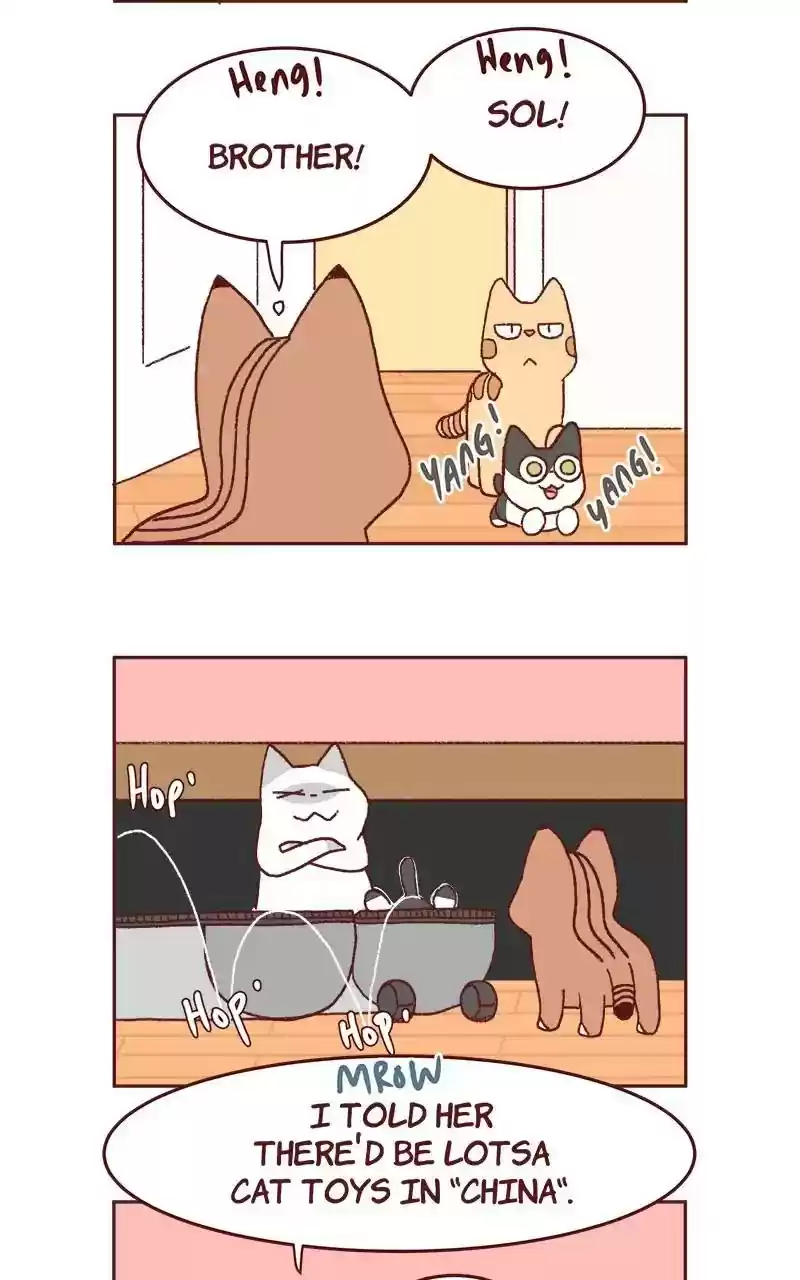 Saphie: The One-Eyed Cat Chapter 321: