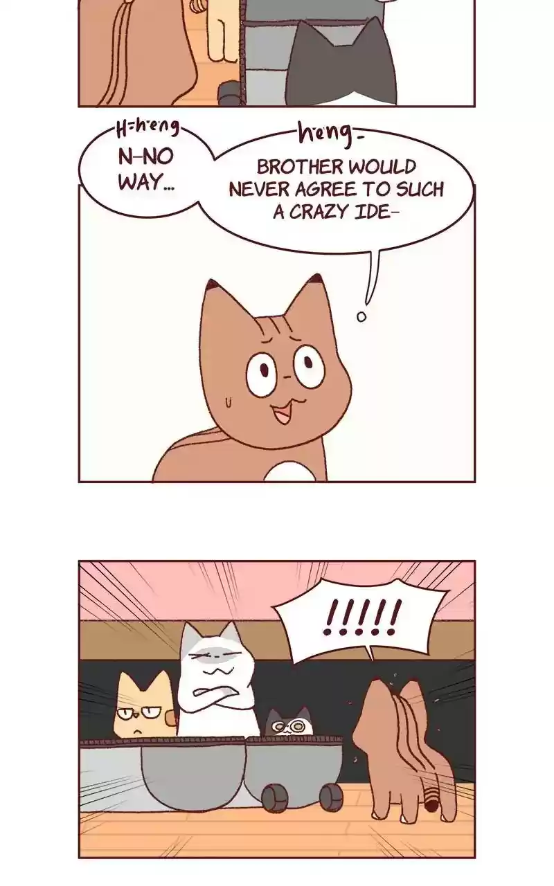 Saphie: The One-Eyed Cat Chapter 321: