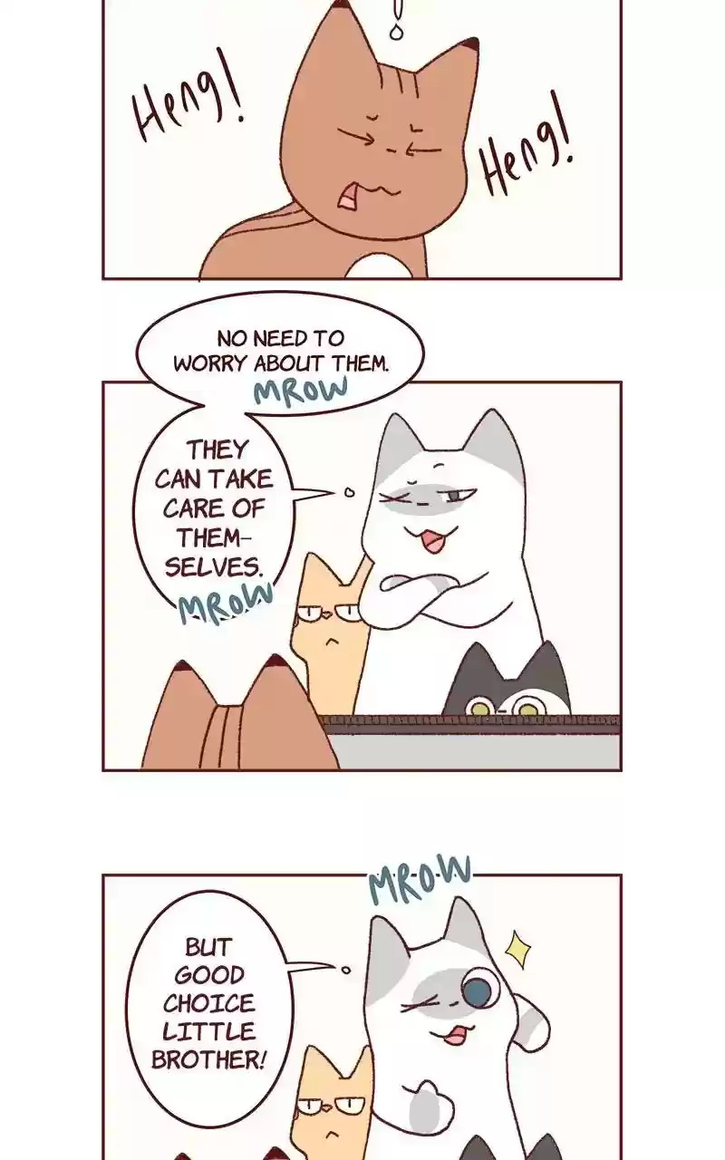 Saphie: The One-Eyed Cat Chapter 321: