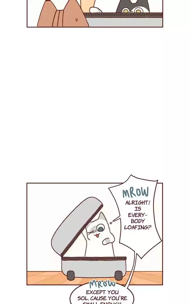 Saphie: The One-Eyed Cat Chapter 321: