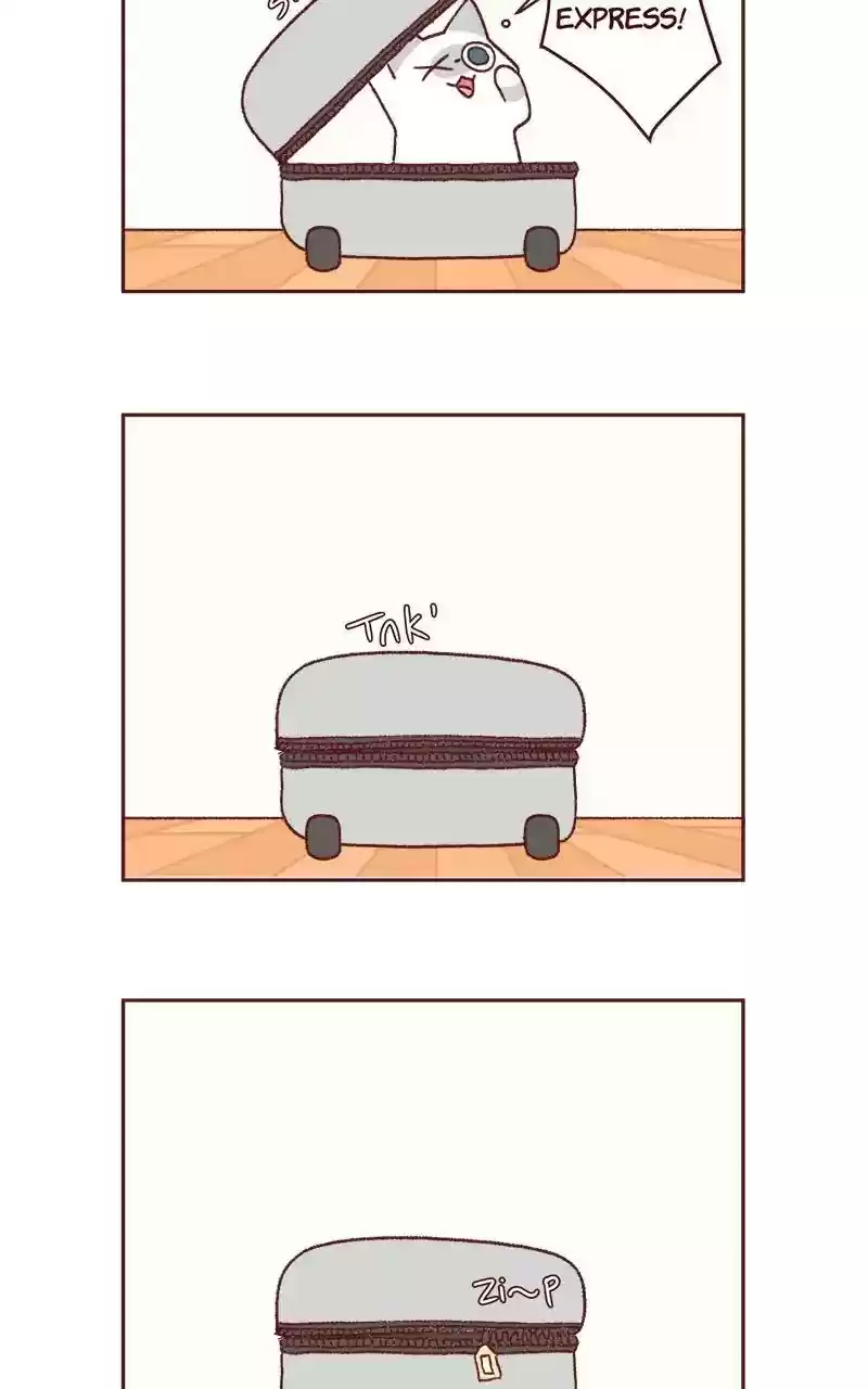 Saphie: The One-Eyed Cat Chapter 321: