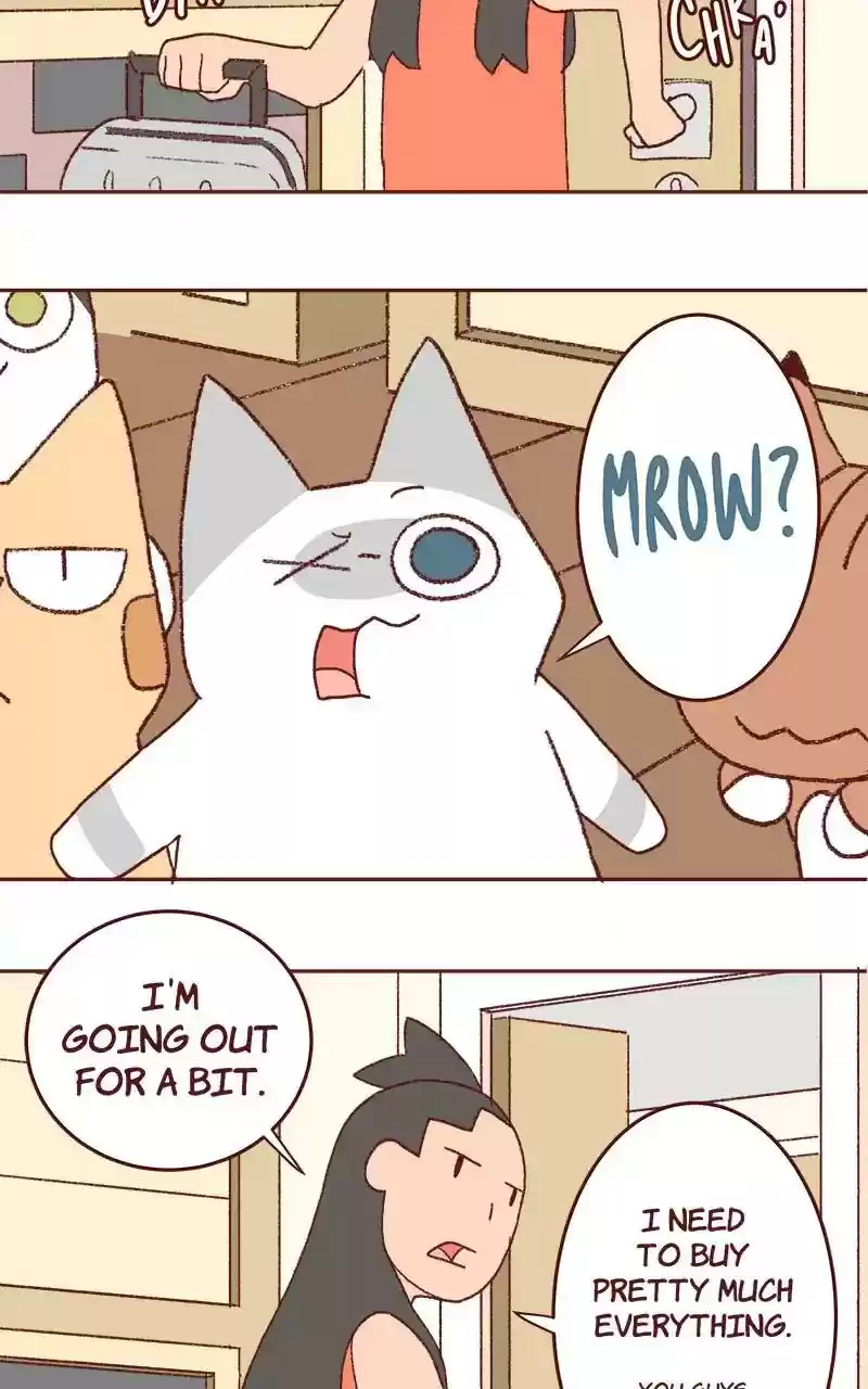 Saphie: The One-Eyed Cat Chapter 322: