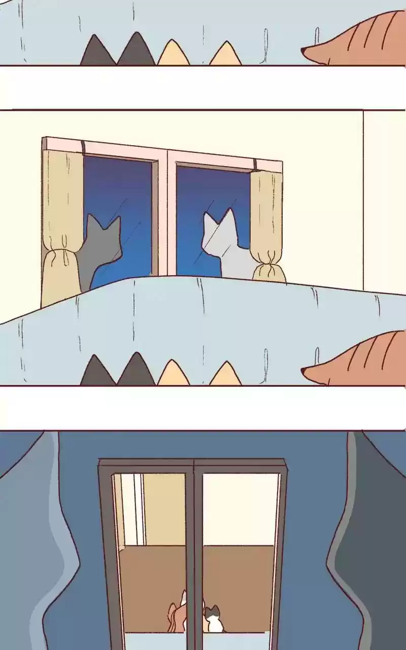 Saphie: The One-Eyed Cat Chapter 322: