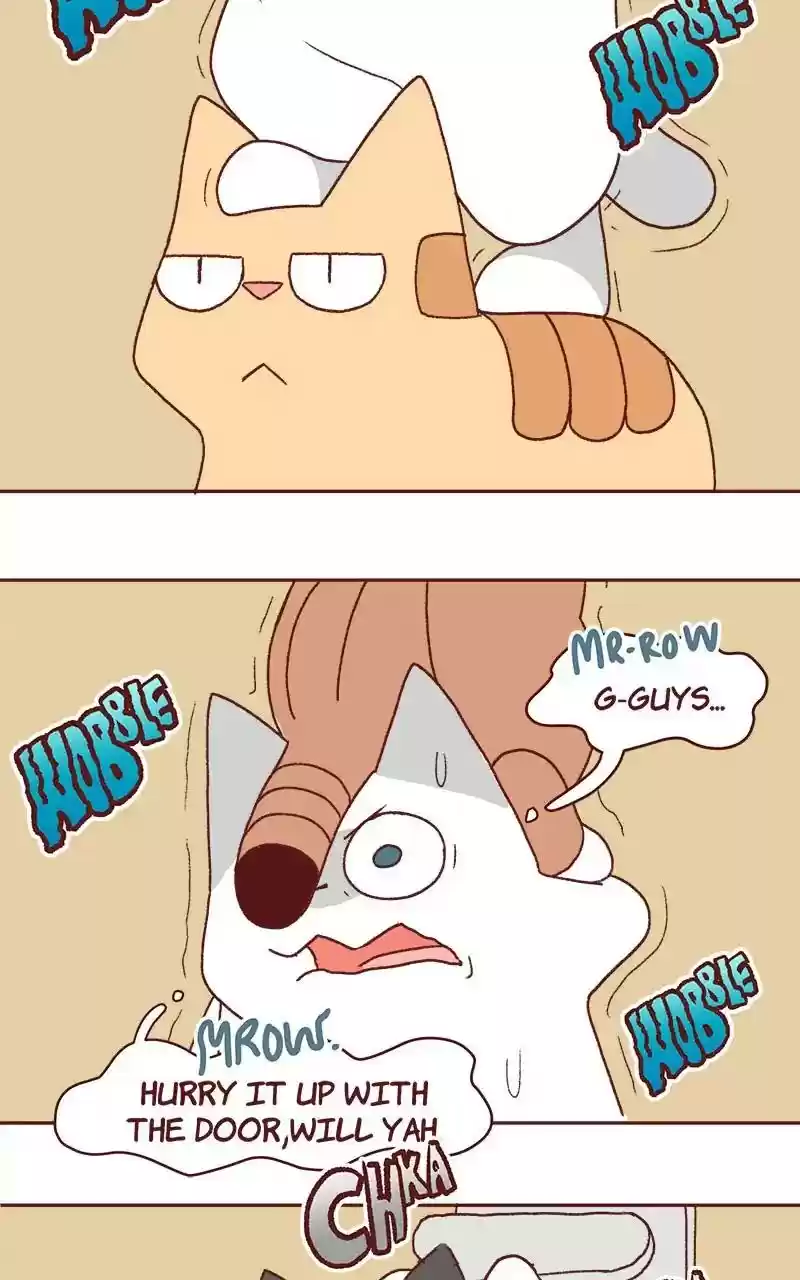 Saphie: The One-Eyed Cat Chapter 323: