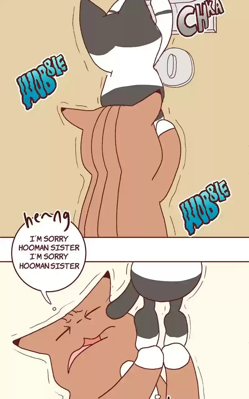 Saphie: The One-Eyed Cat Chapter 323: