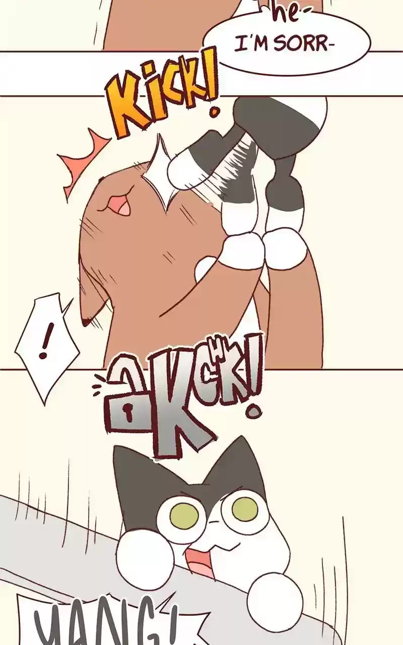 Saphie: The One-Eyed Cat Chapter 323: