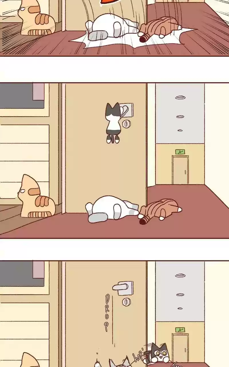 Saphie: The One-Eyed Cat Chapter 323: