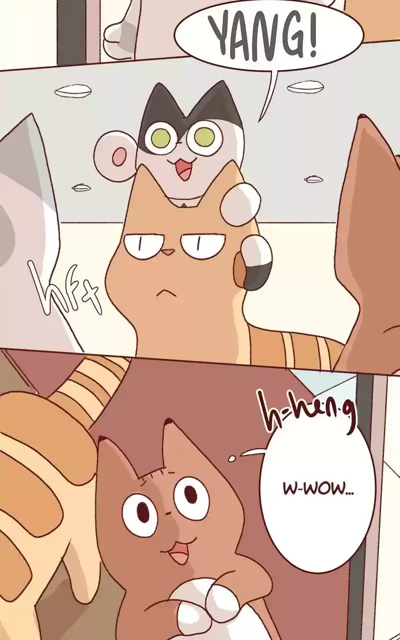 Saphie: The One-Eyed Cat Chapter 323: