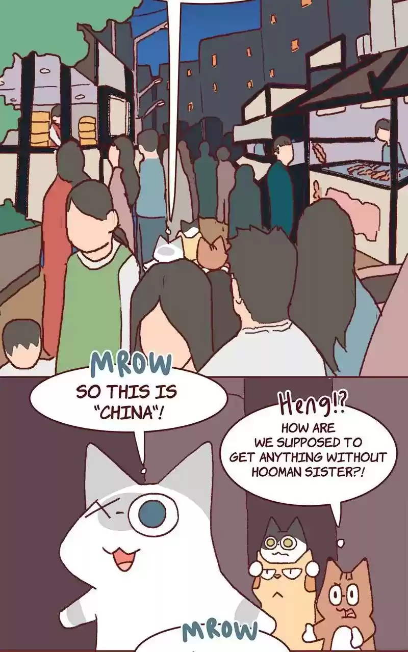 Saphie: The One-Eyed Cat Chapter 324: