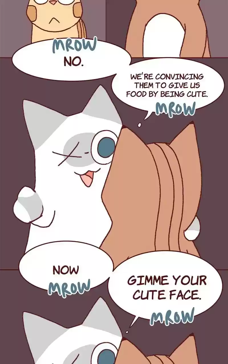 Saphie: The One-Eyed Cat Chapter 324: