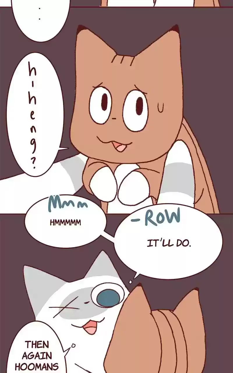 Saphie: The One-Eyed Cat Chapter 324: