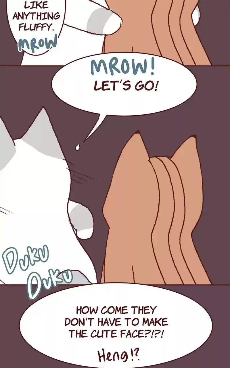 Saphie: The One-Eyed Cat Chapter 324: