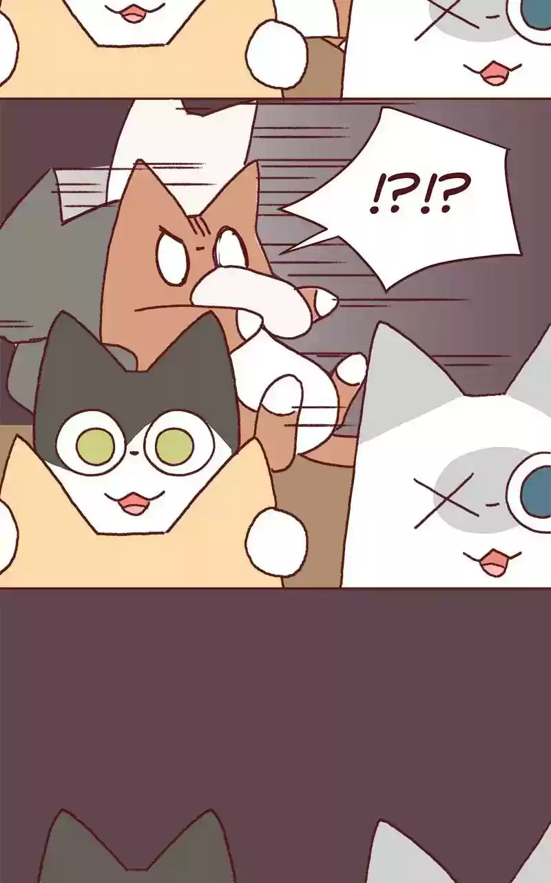 Saphie: The One-Eyed Cat Chapter 324: