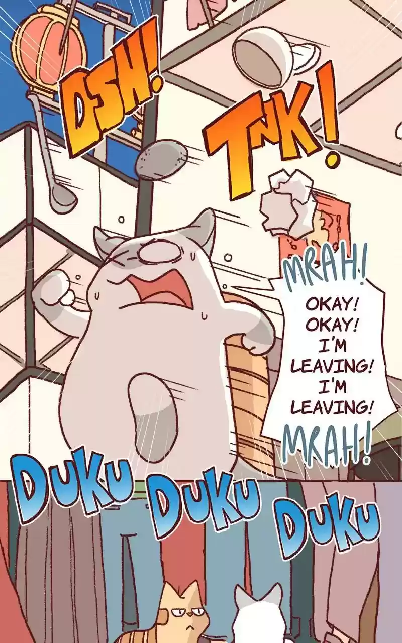 Saphie: The One-Eyed Cat Chapter 325: