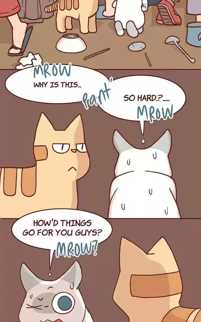 Saphie: The One-Eyed Cat Chapter 325: