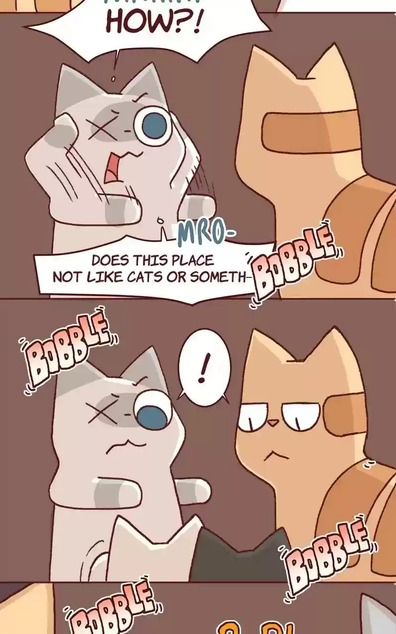 Saphie: The One-Eyed Cat Chapter 325: