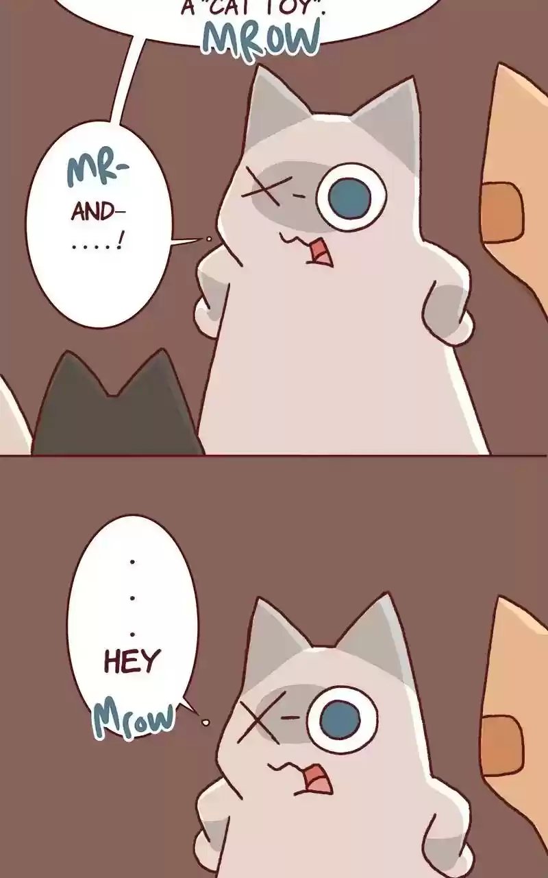 Saphie: The One-Eyed Cat Chapter 325: