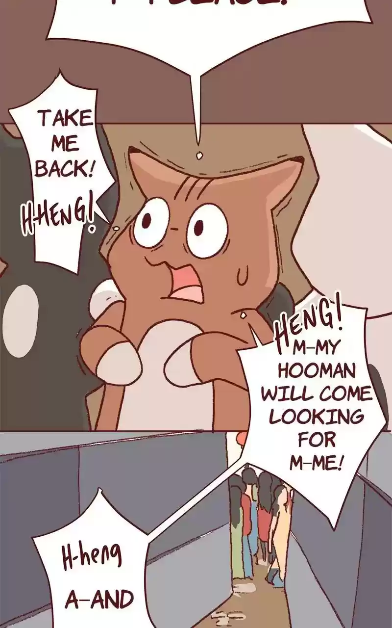 Saphie: The One-Eyed Cat Chapter 325: