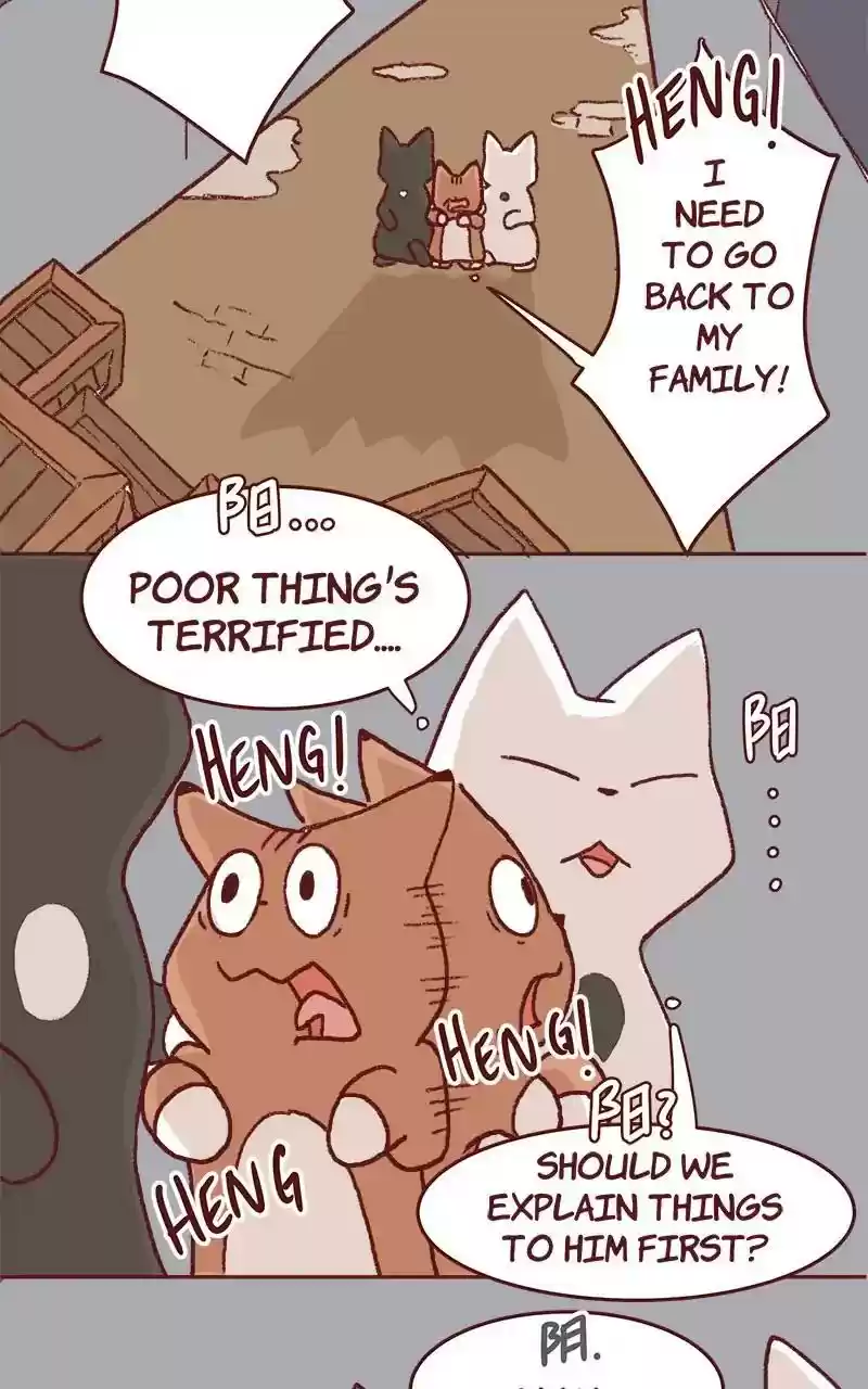 Saphie: The One-Eyed Cat Chapter 325: