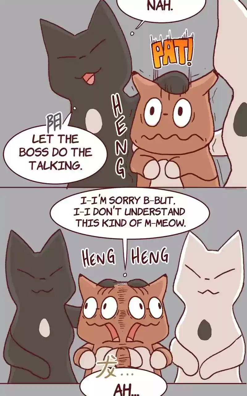 Saphie: The One-Eyed Cat Chapter 325: