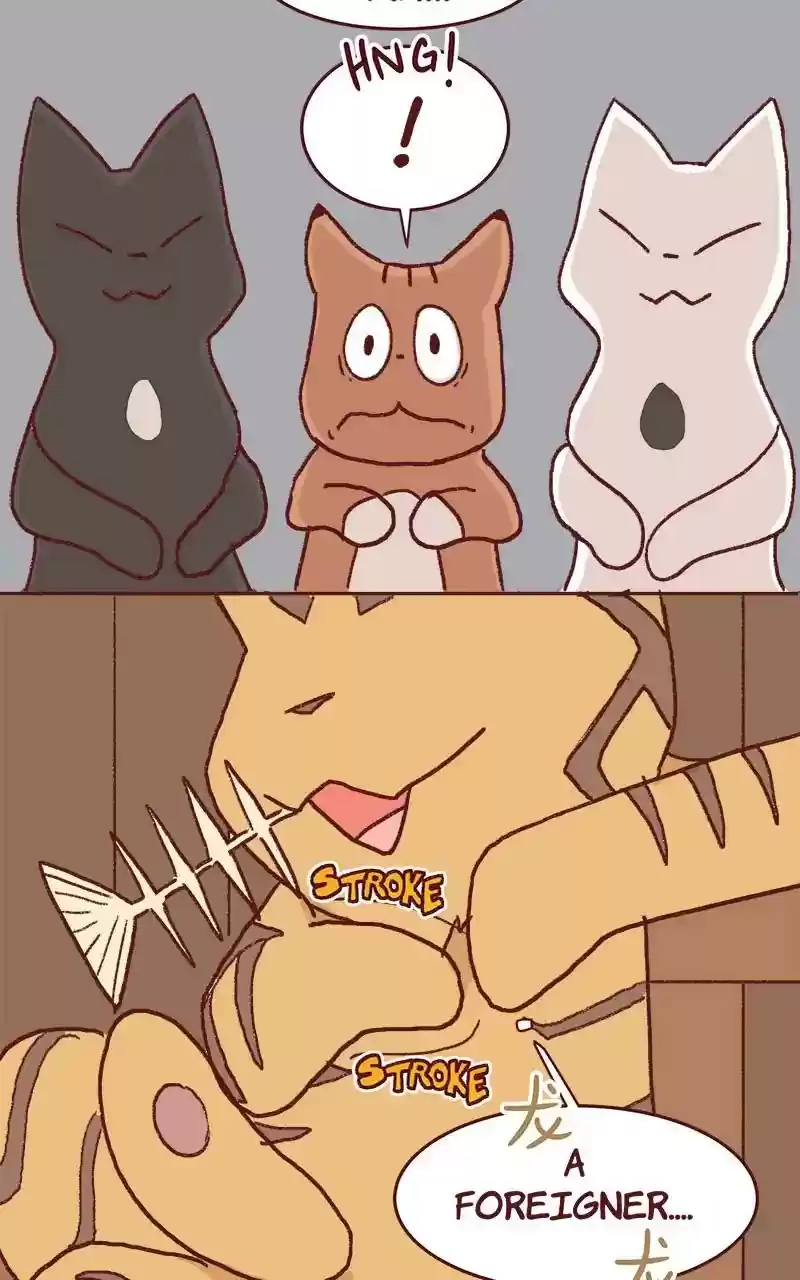 Saphie: The One-Eyed Cat Chapter 325: