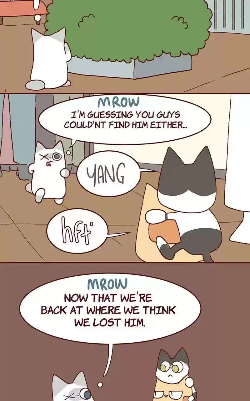 Saphie: The One-Eyed Cat Chapter 326: