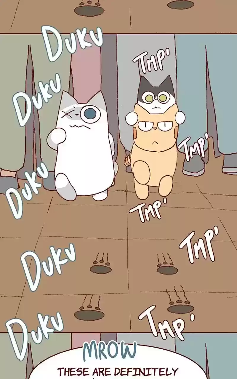 Saphie: The One-Eyed Cat Chapter 326: