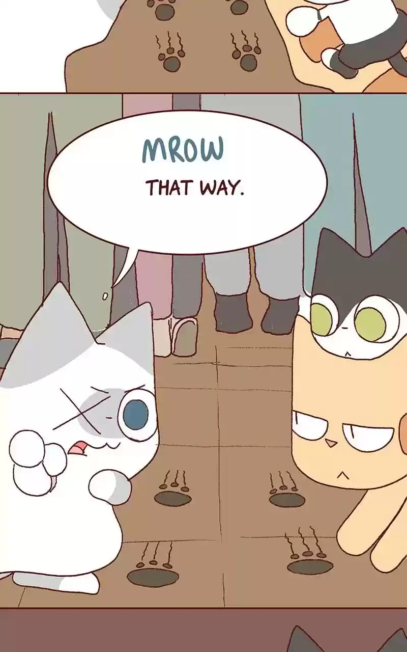 Saphie: The One-Eyed Cat Chapter 326: