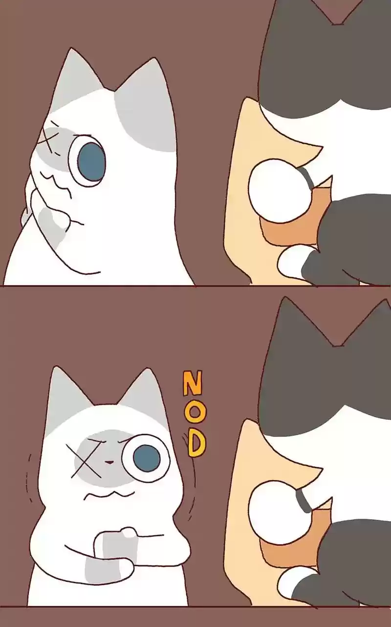 Saphie: The One-Eyed Cat Chapter 326: