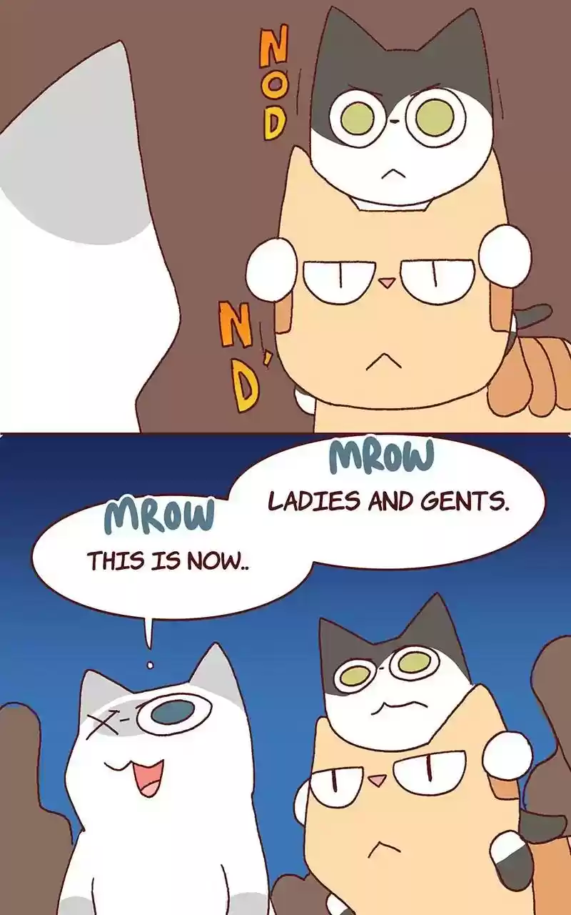 Saphie: The One-Eyed Cat Chapter 326: